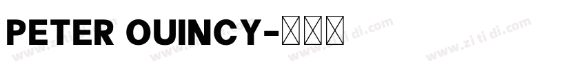 peter ouincy字体转换